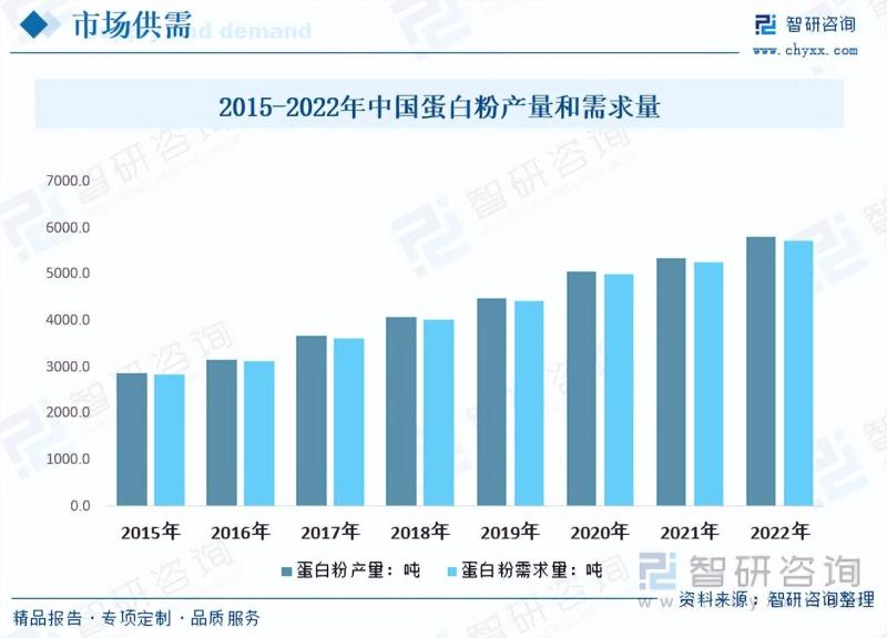 2023年中国蛋白粉行业市场发展情况一览