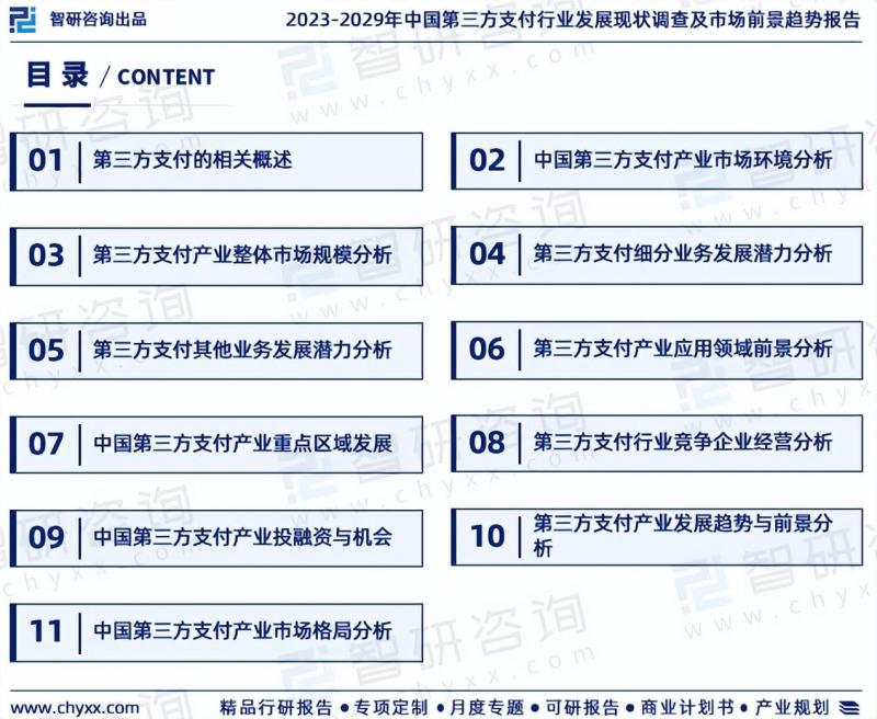 2023年中国第三方支付行业市场分析报告