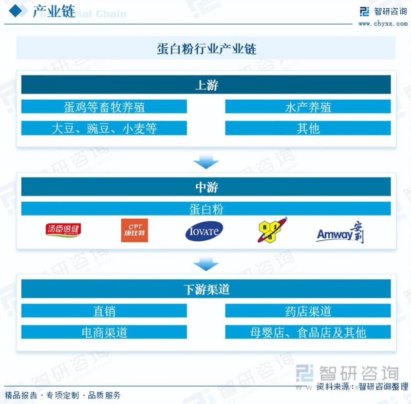 2023年中国蛋白粉行业市场发展情况一览