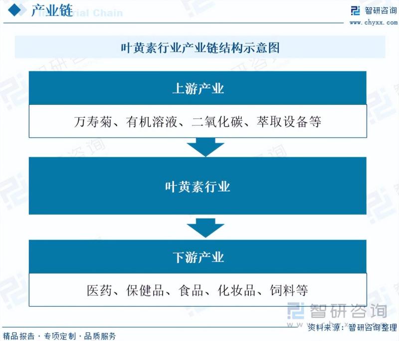 2023年中国叶黄素行业市场发展情况一览