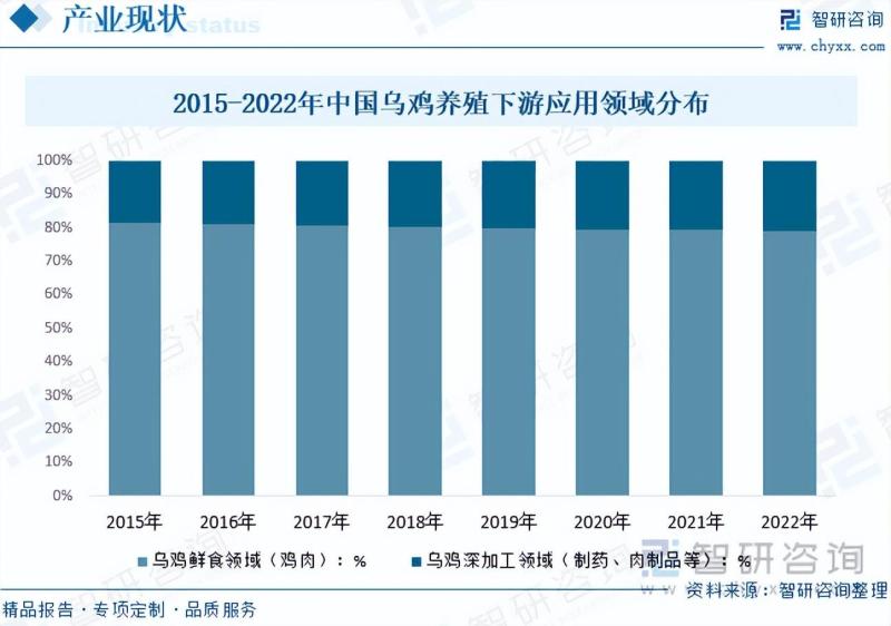 2023年乌鸡养殖行业市场分析报告