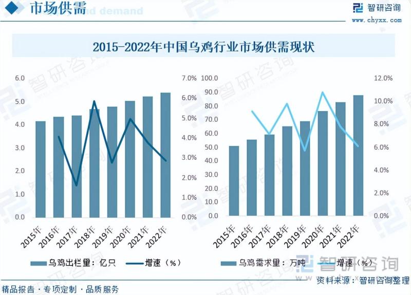 2023年乌鸡养殖行业市场分析报告