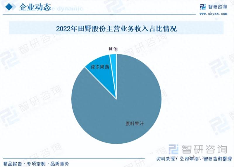 2023年中国冻干水果行业市场研究报告