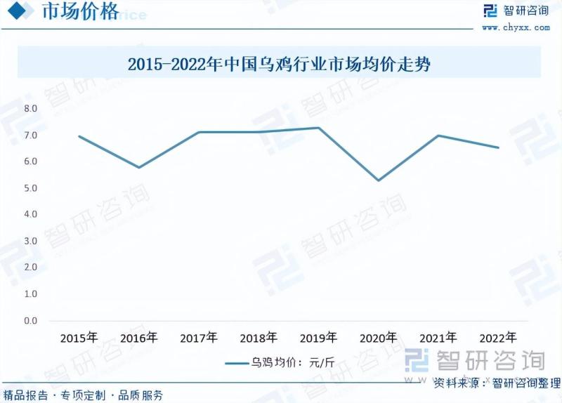 2023年乌鸡养殖行业市场分析报告