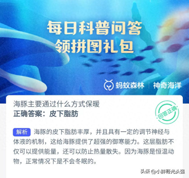 海豚主要通过什么方式保暖？