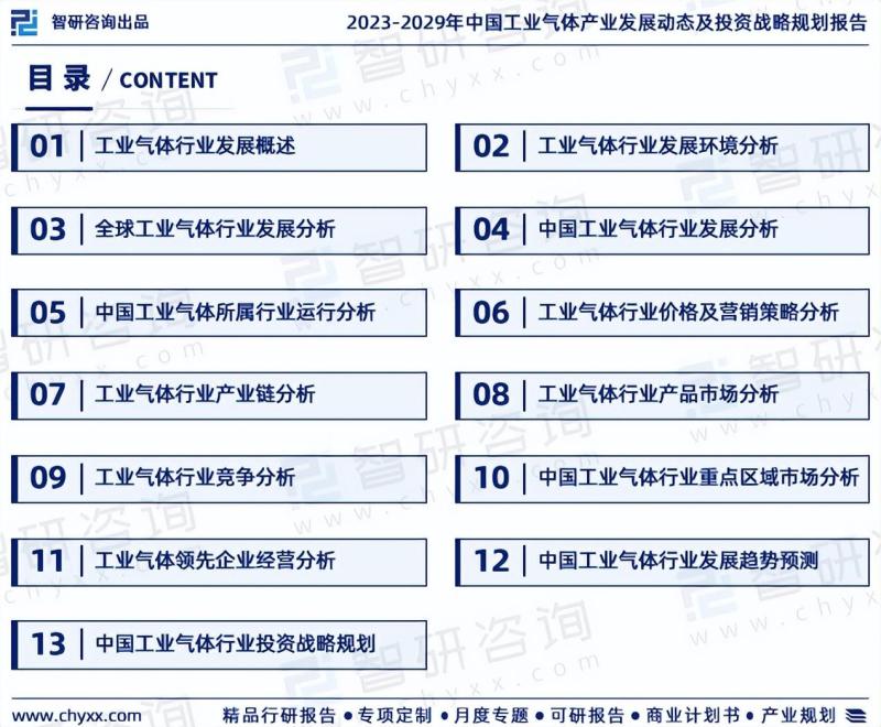 2023版中国工业气体行业市场深度分析研究报告