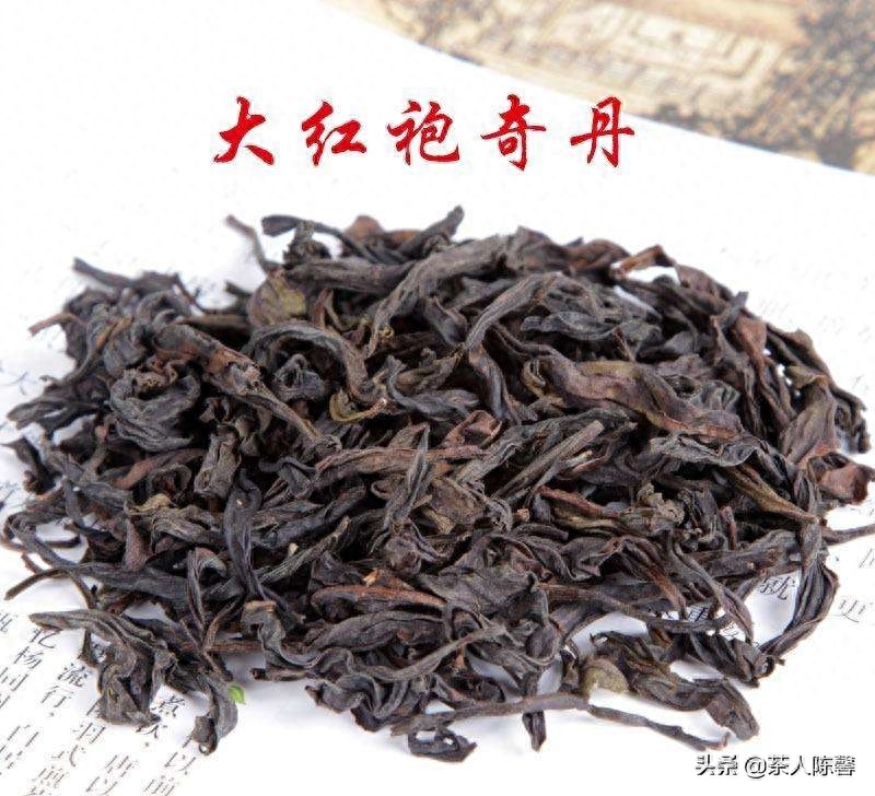 奇丹茶是什么茶