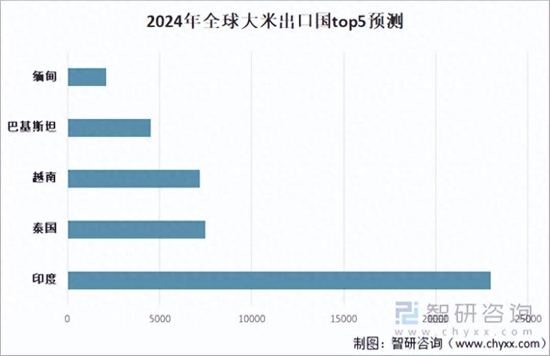 2023年全球大米行业市场分析：产量增加，进出口保持一定规模