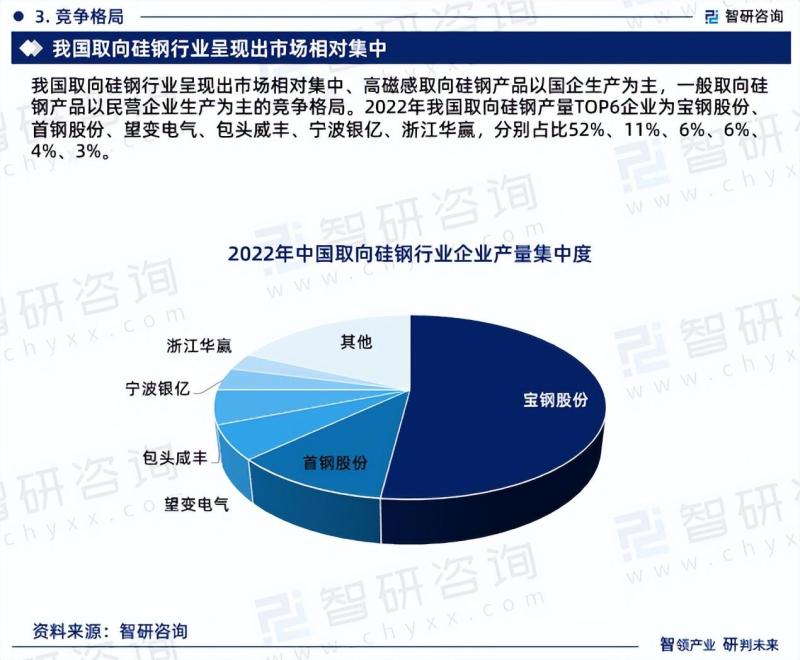 中国取向硅钢行业市场现状调查及投资前景分析报告