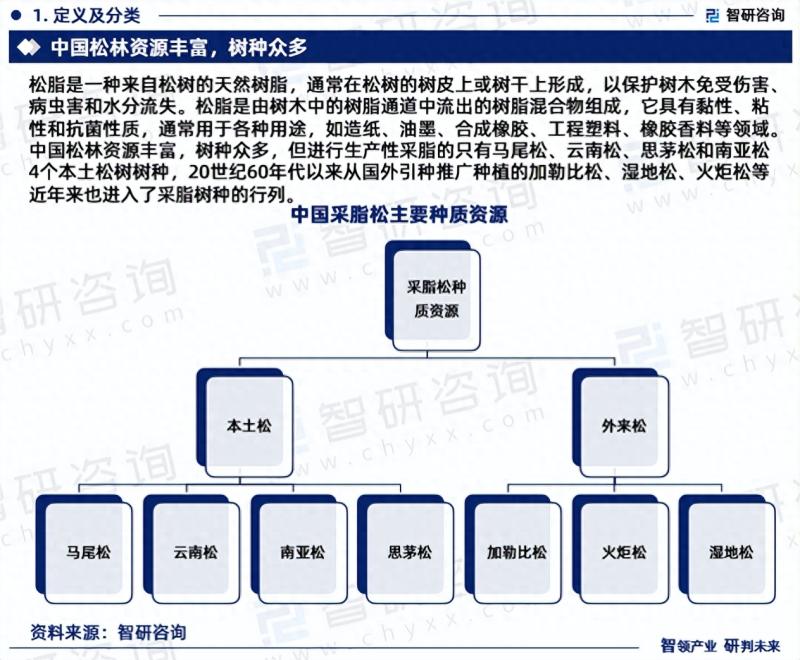 2023年中国松脂行业发展趋势研究报告