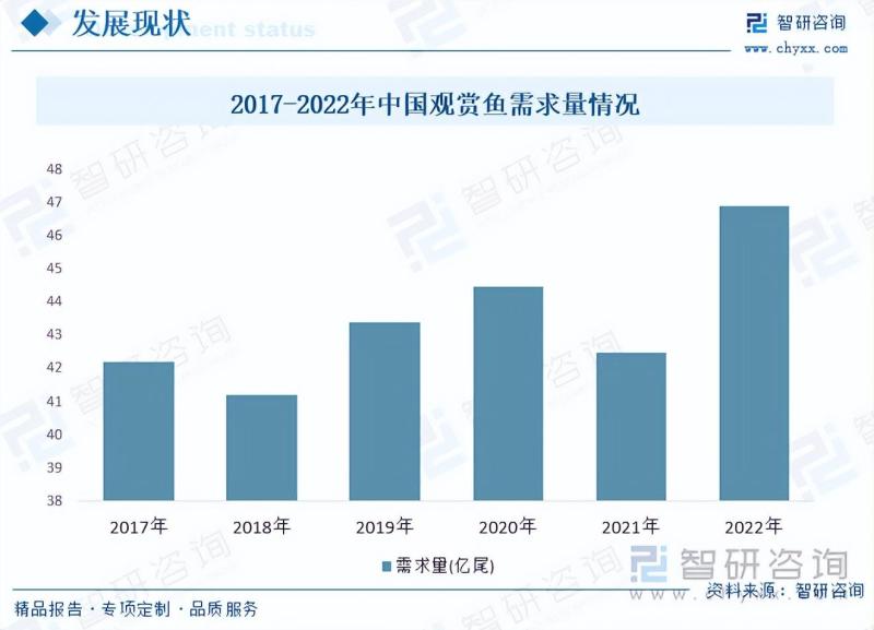 2023年中国观赏鱼全景速览：产业链不断完善，市场需求持续增长