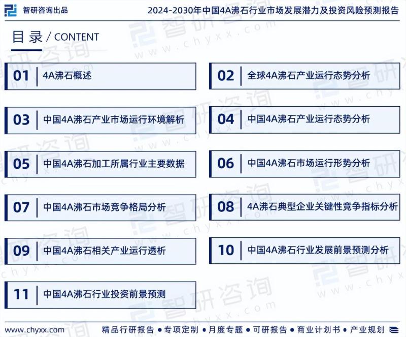 中国4A沸石行业市场研究及发展趋势预测报告