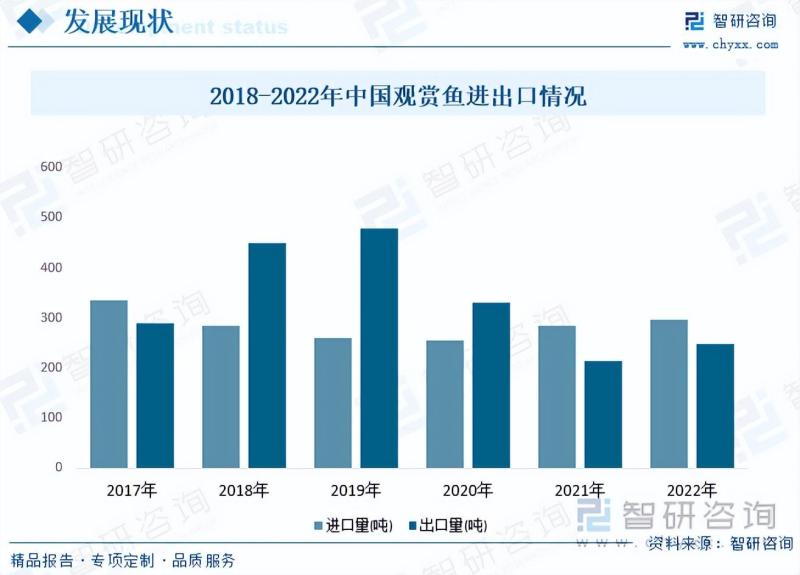 2023年中国观赏鱼全景速览：产业链不断完善，市场需求持续增长