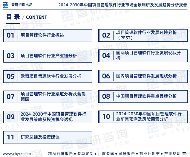 中国项目管理软件行业市场分析研究报告