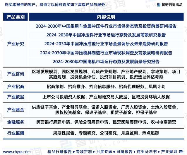 中国冲槽机行业市场全景评估及深度分析研究报告